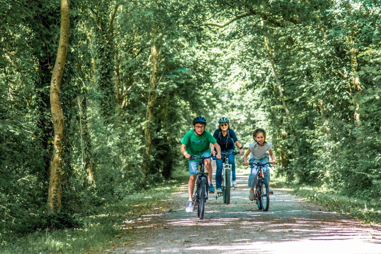 Gite Martin Pecheur Au Coeur De La Nature Moncoutant Esterno foto